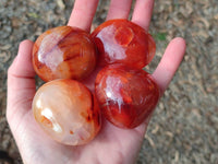 Polished Carnelian Agate Palm Stones x 12 From Madagascar - Toprock Gemstones and Minerals 