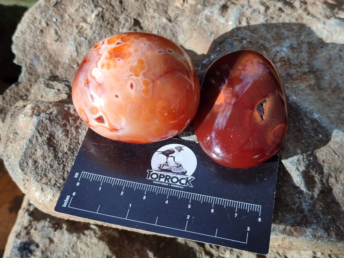Polished Carnelian Agate Palm Stones x 12 From Madagascar - Toprock Gemstones and Minerals 