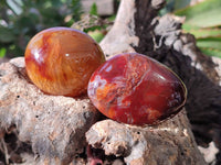 Polished Carnelian Agate Palm Stones x 12 From Madagascar - Toprock Gemstones and Minerals 