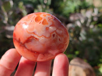 Polished Carnelian Agate Palm Stones x 12 From Madagascar - Toprock Gemstones and Minerals 