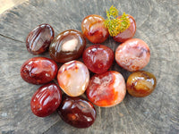 Polished Carnelian Agate Palm Stones x 12 From Madagascar - Toprock Gemstones and Minerals 