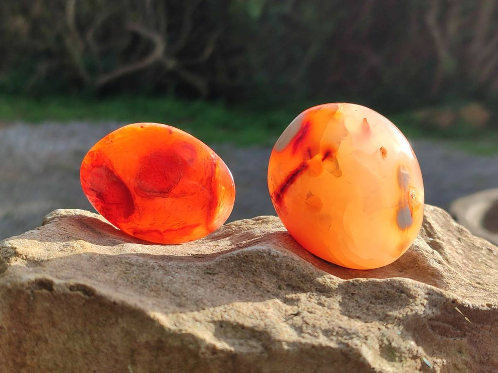 Polished Carnelian Agate Palm Stones x 12 From Madagascar - Toprock Gemstones and Minerals 