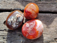 Polished Carnelian Agate Palm Stones x 12 From Madagascar - Toprock Gemstones and Minerals 