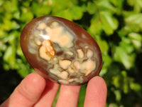 Polished Carnelian Agate Palm Stones x 12 From Madagascar - Toprock Gemstones and Minerals 