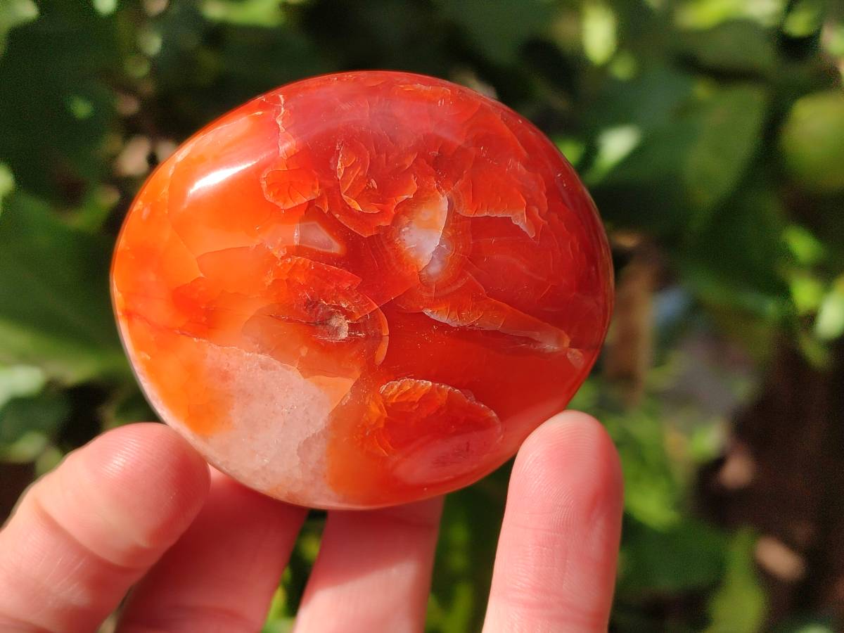 Polished Carnelian Agate Palm Stones x 12 From Madagascar - Toprock Gemstones and Minerals 