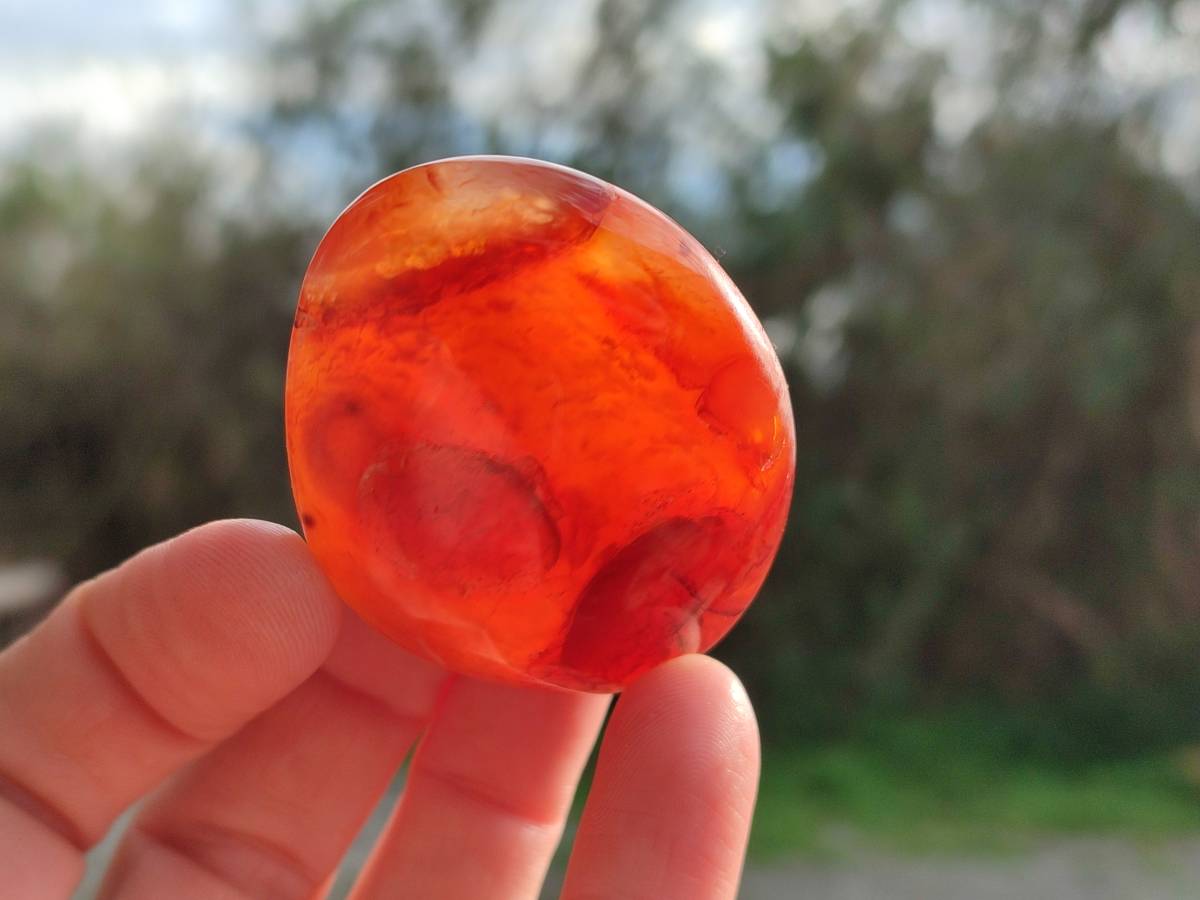 Polished Carnelian Agate Palm Stones x 12 From Madagascar - Toprock Gemstones and Minerals 