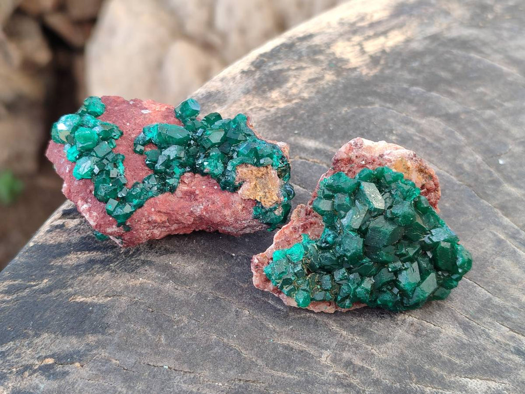 Natural Dioptase Crystals with Malachite on Dolomite Matrix Specimens x 12 From Likasi, Congo - Toprock Gemstones and Minerals 