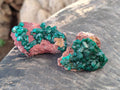 Natural Dioptase Crystals with Malachite on Dolomite Matrix Specimens x 12 From Likasi, Congo - Toprock Gemstones and Minerals 