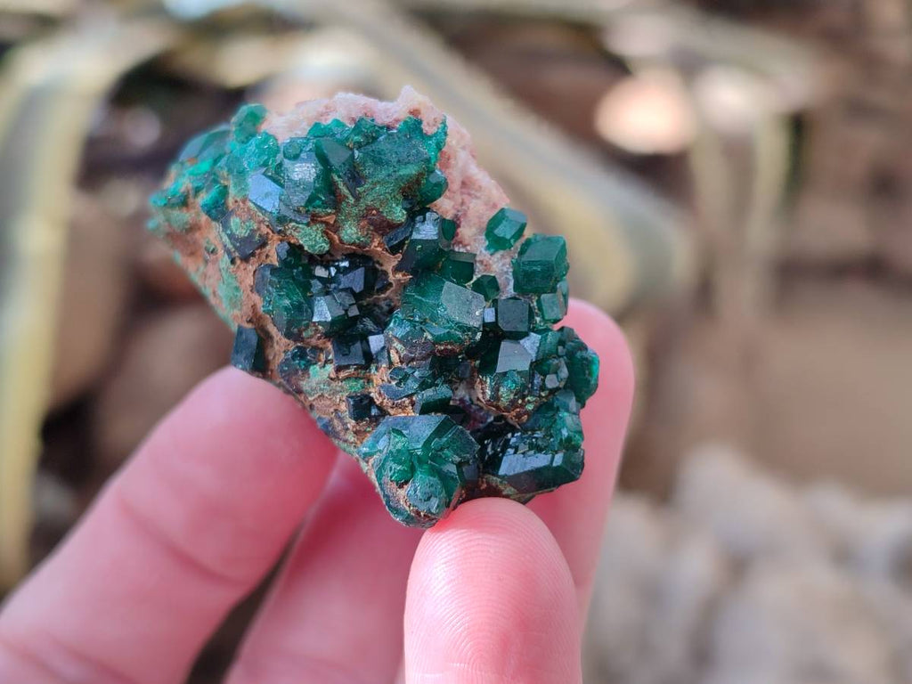 Natural Dioptase Crystals with Malachite on Dolomite Matrix Specimens x 12 From Likasi, Congo - Toprock Gemstones and Minerals 