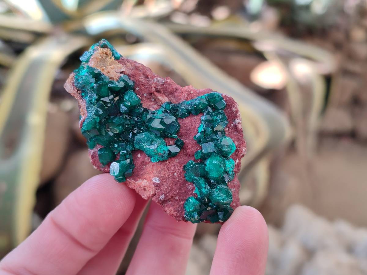 Natural Dioptase Crystals with Malachite on Dolomite Matrix Specimens x 12 From Likasi, Congo - Toprock Gemstones and Minerals 
