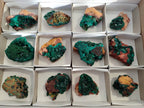 Natural Dioptase Crystals with Malachite on Dolomite Matrix Specimens x 12 From Likasi, Congo - Toprock Gemstones and Minerals 