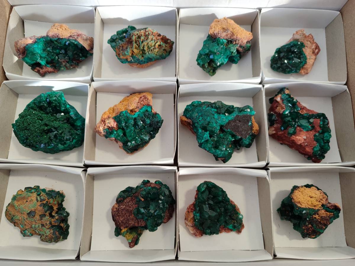 Natural Dioptase Crystals with Malachite on Dolomite Matrix Specimens x 12 From Likasi, Congo - Toprock Gemstones and Minerals 