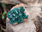 Natural Dioptase Crystals with Malachite on Dolomite Matrix Specimens x 12 From Likasi, Congo - Toprock Gemstones and Minerals 