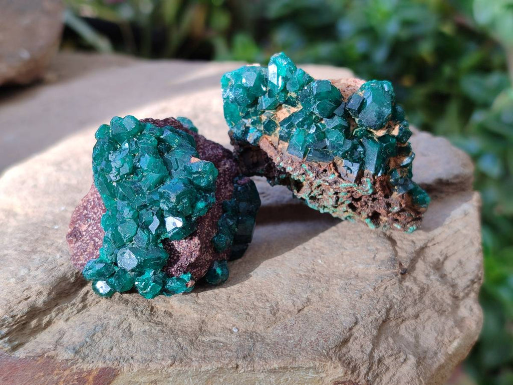 Natural Dioptase Crystals with Malachite on Dolomite Matrix Specimens x 12 From Likasi, Congo - Toprock Gemstones and Minerals 