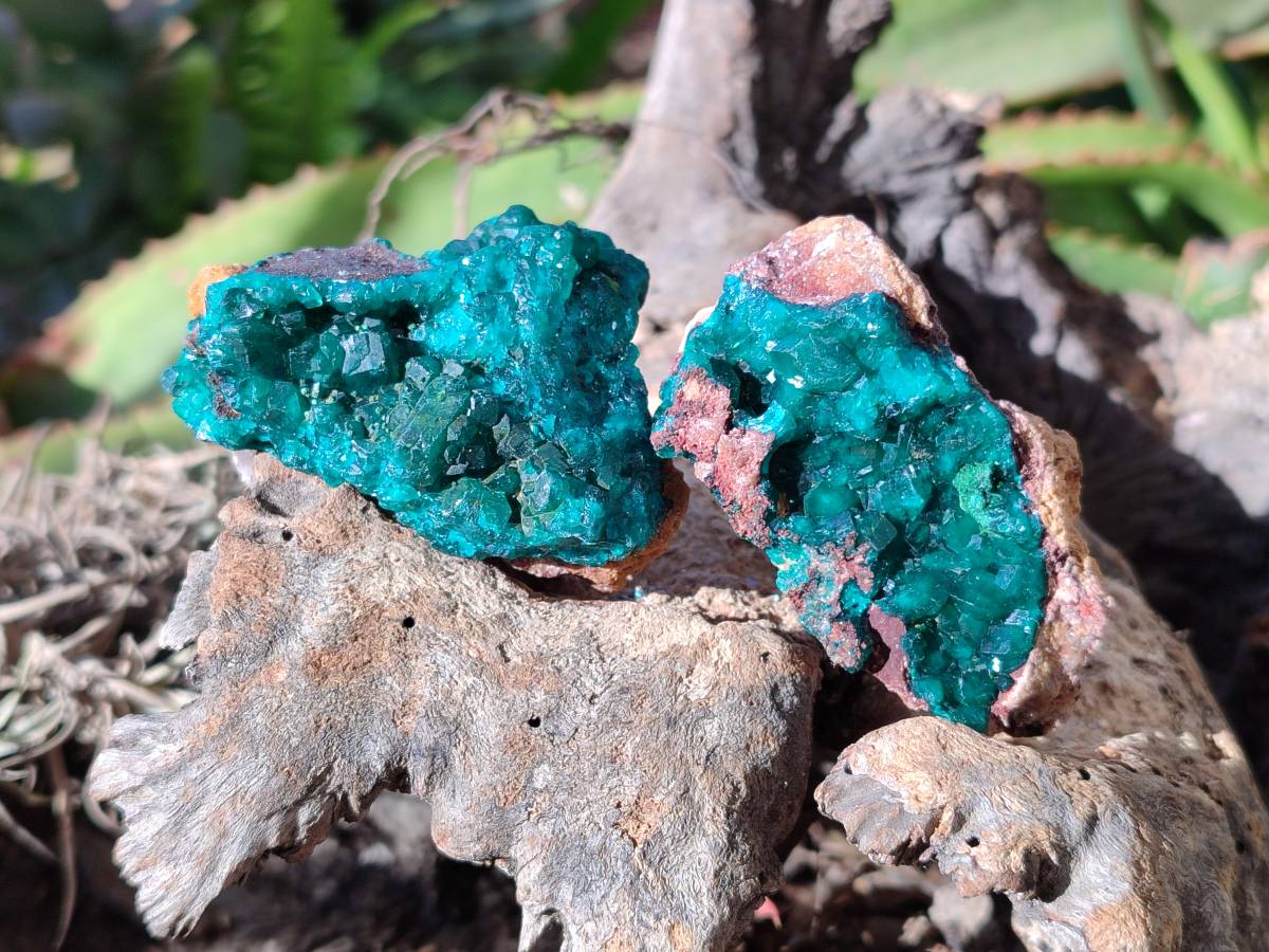 Natural Dioptase Crystals with Malachite on Dolomite Matrix Specimens x 12 From Likasi, Congo - Toprock Gemstones and Minerals 
