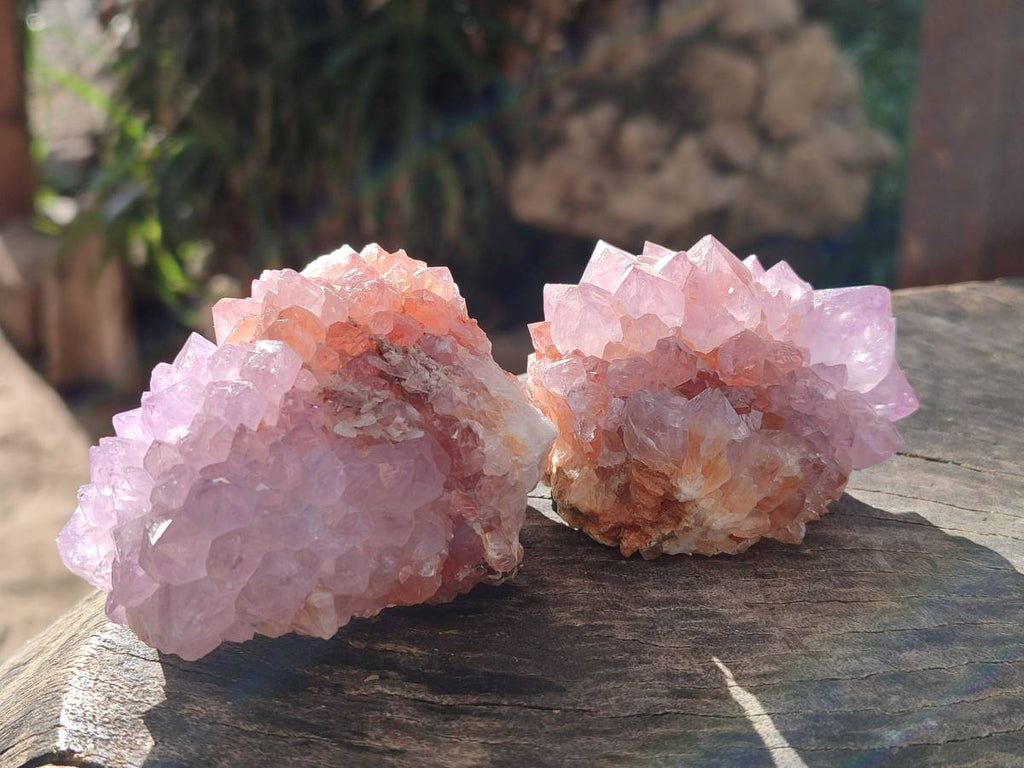 Natural Sunburst Amethyst Spirit Quartz Clusters x 9 From Boekenhouthoek, South Africa - Toprock Gemstones and Minerals 