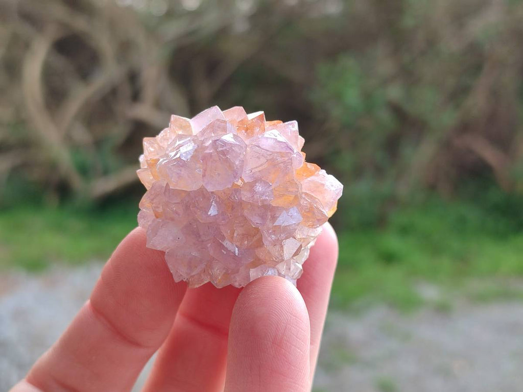 Natural Sunburst Amethyst Spirit Quartz Clusters x 9 From Boekenhouthoek, South Africa - Toprock Gemstones and Minerals 