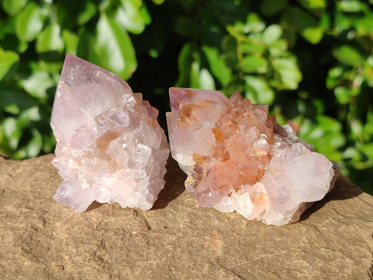 Natural Sunburst Amethyst Spirit Quartz Clusters x 9 From Boekenhouthoek, South Africa - Toprock Gemstones and Minerals 