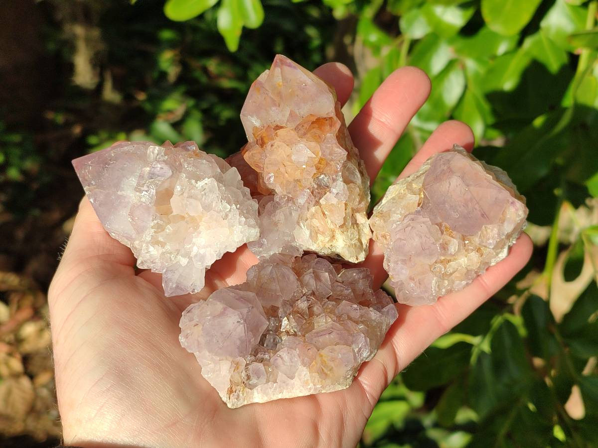 Natural Sunburst Amethyst Spirit Quartz Clusters x 9 From Boekenhouthoek, South Africa - Toprock Gemstones and Minerals 