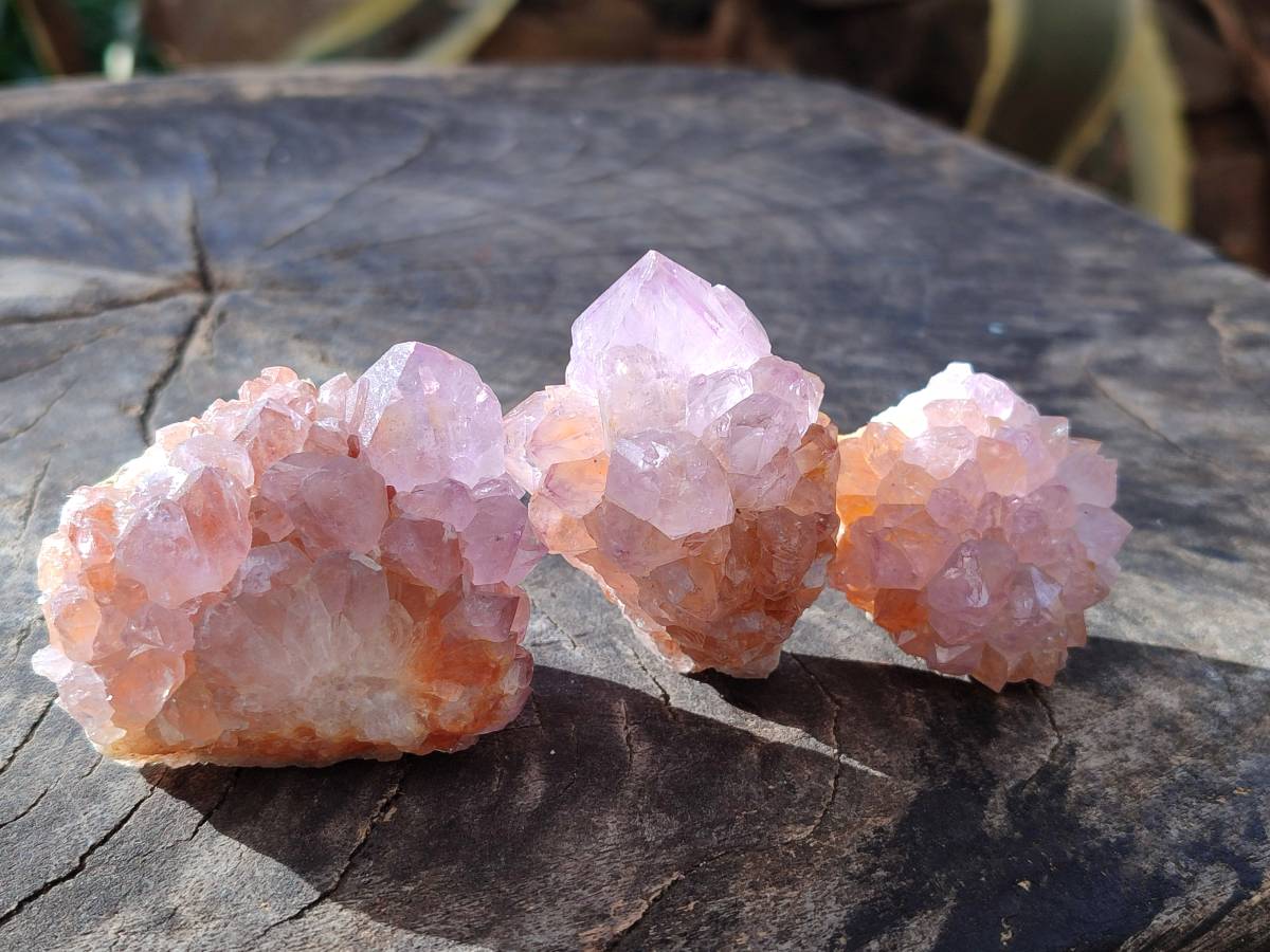 Natural Sunburst Amethyst Spirit Quartz Clusters x 9 From Boekenhouthoek, South Africa - Toprock Gemstones and Minerals 
