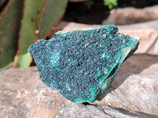 Natural Super Rare Crystalline Malachite Specimens x 6 From Tenke Fungurume, Congo - Toprock Gemstones and Minerals 
