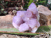 Natural Sunburst Amethyst Spirit Quartz Clusters x 2 From Boekenhouthoek, South Africa
