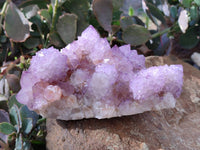 Natural Sunburst Amethyst Spirit Quartz Clusters x 2 From Boekenhouthoek, South Africa