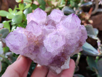 Natural Sunburst Amethyst Spirit Quartz Clusters x 2 From Boekenhouthoek, South Africa