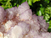 Natural Sunburst Amethyst Spirit Quartz Clusters x 2 From Boekenhouthoek, South Africa