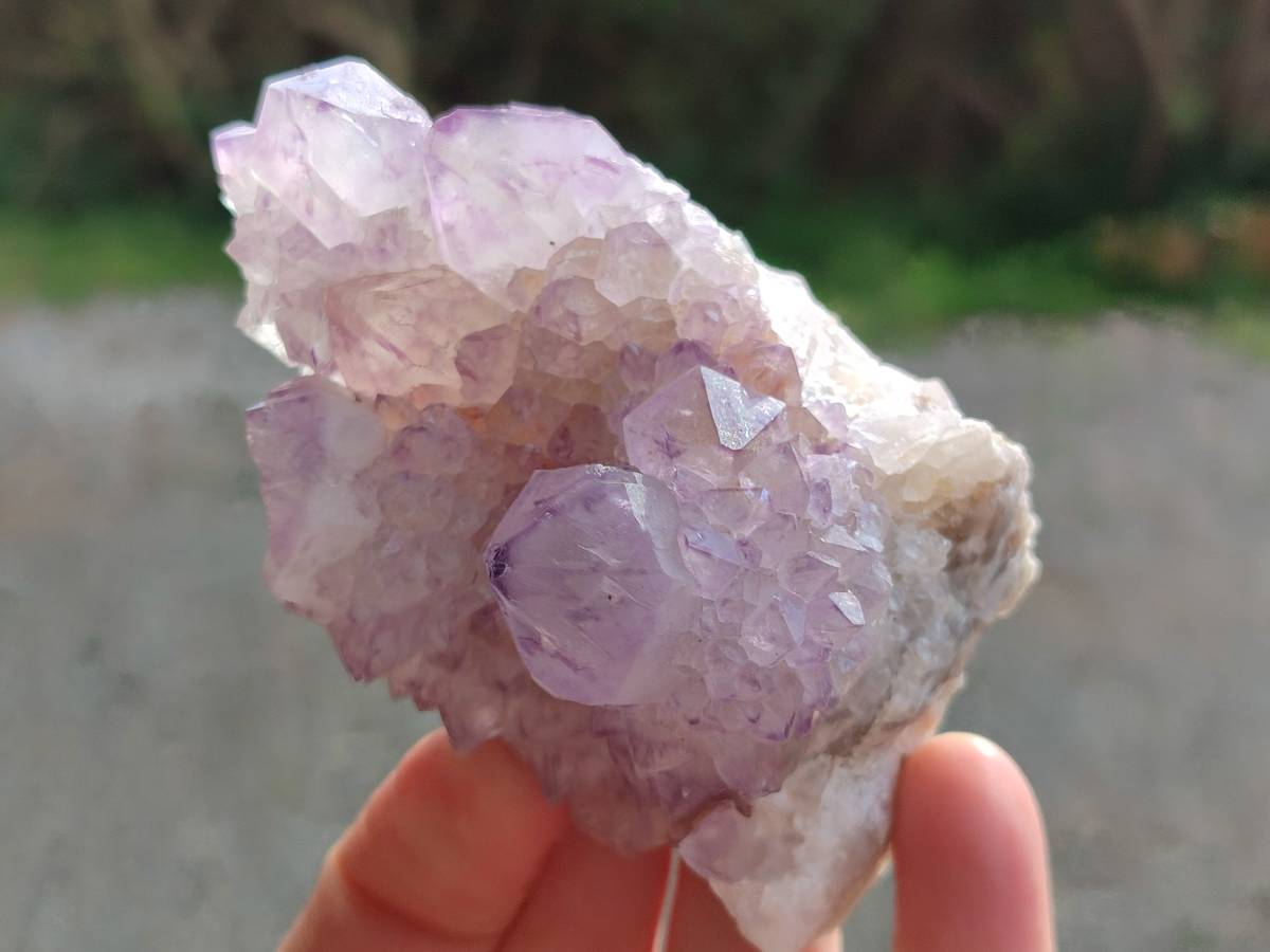 Natural Sunburst Amethyst Spirit Quartz Clusters x 6 From Boekenhouthoek, South Africa - Toprock Gemstones and Minerals 
