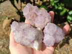 Natural Sunburst Amethyst Spirit Quartz Clusters x 6 From Boekenhouthoek, South Africa - Toprock Gemstones and Minerals 