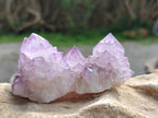 Natural Sunburst Amethyst Spirit Quartz Clusters x 6 From Boekenhouthoek, South Africa - Toprock Gemstones and Minerals 