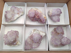Natural Sunburst Amethyst Spirit Quartz Clusters x 6 From Boekenhouthoek, South Africa - Toprock Gemstones and Minerals 
