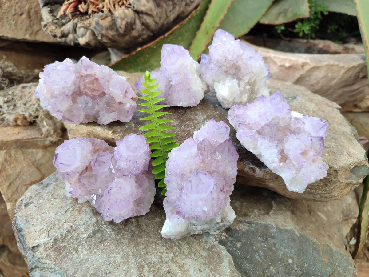 Natural Sunburst Amethyst Spirit Quartz Clusters x 6 From Boekenhouthoek, South Africa - Toprock Gemstones and Minerals 