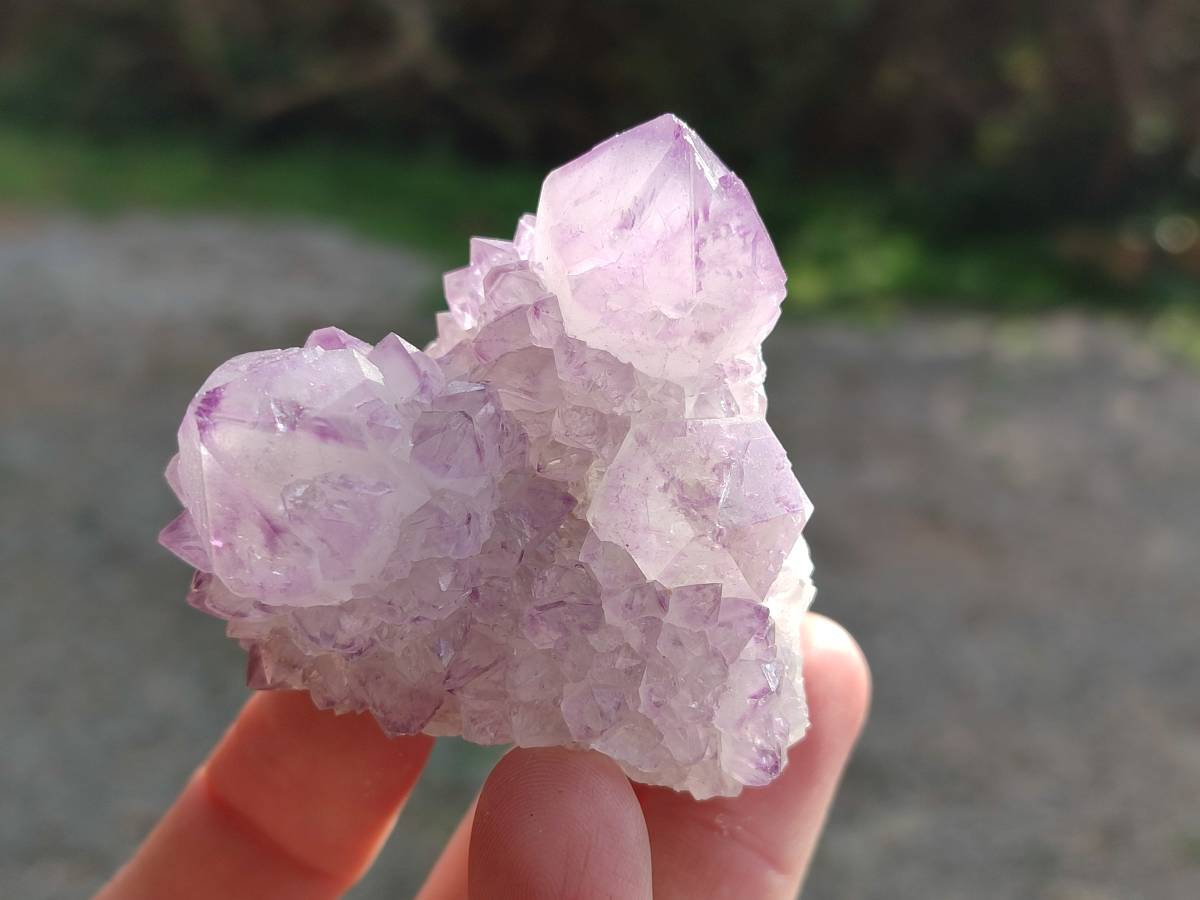 Natural Sunburst Amethyst Spirit Quartz Clusters x 6 From Boekenhouthoek, South Africa - Toprock Gemstones and Minerals 