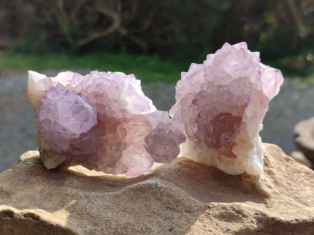 Natural Sunburst Amethyst Spirit Quartz Clusters x 6 From Boekenhouthoek, South Africa - Toprock Gemstones and Minerals 
