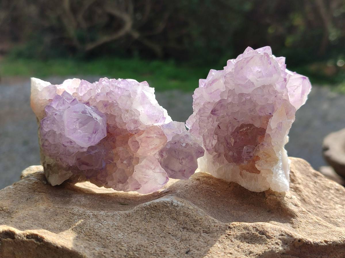 Natural Sunburst Amethyst Spirit Quartz Clusters x 6 From Boekenhouthoek, South Africa - Toprock Gemstones and Minerals 