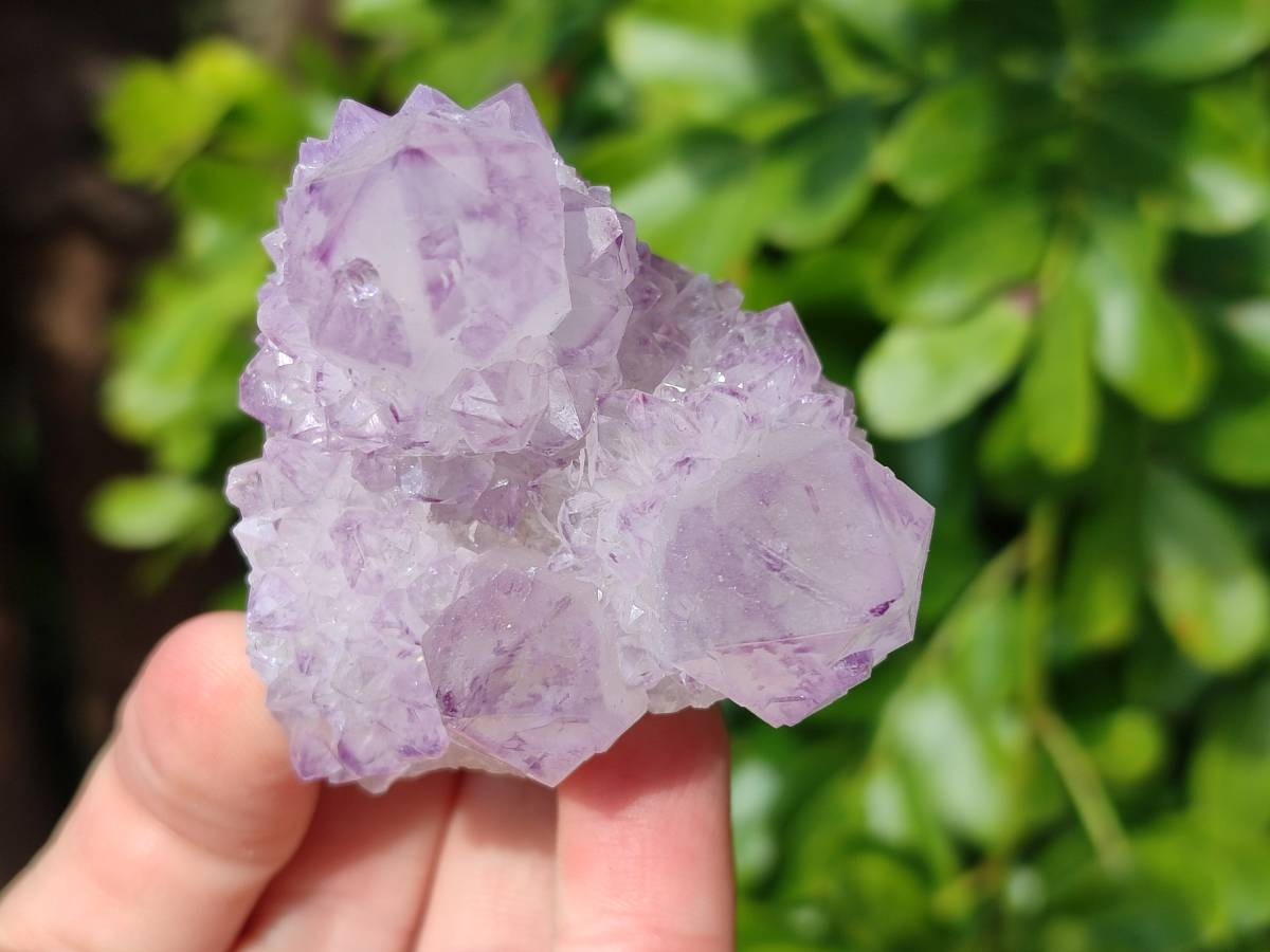 Natural Sunburst Amethyst Spirit Quartz Clusters x 6 From Boekenhouthoek, South Africa - Toprock Gemstones and Minerals 