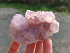 Natural Sunburst Amethyst Spirit Quartz Clusters x 6 From Boekenhouthoek, South Africa - Toprock Gemstones and Minerals 