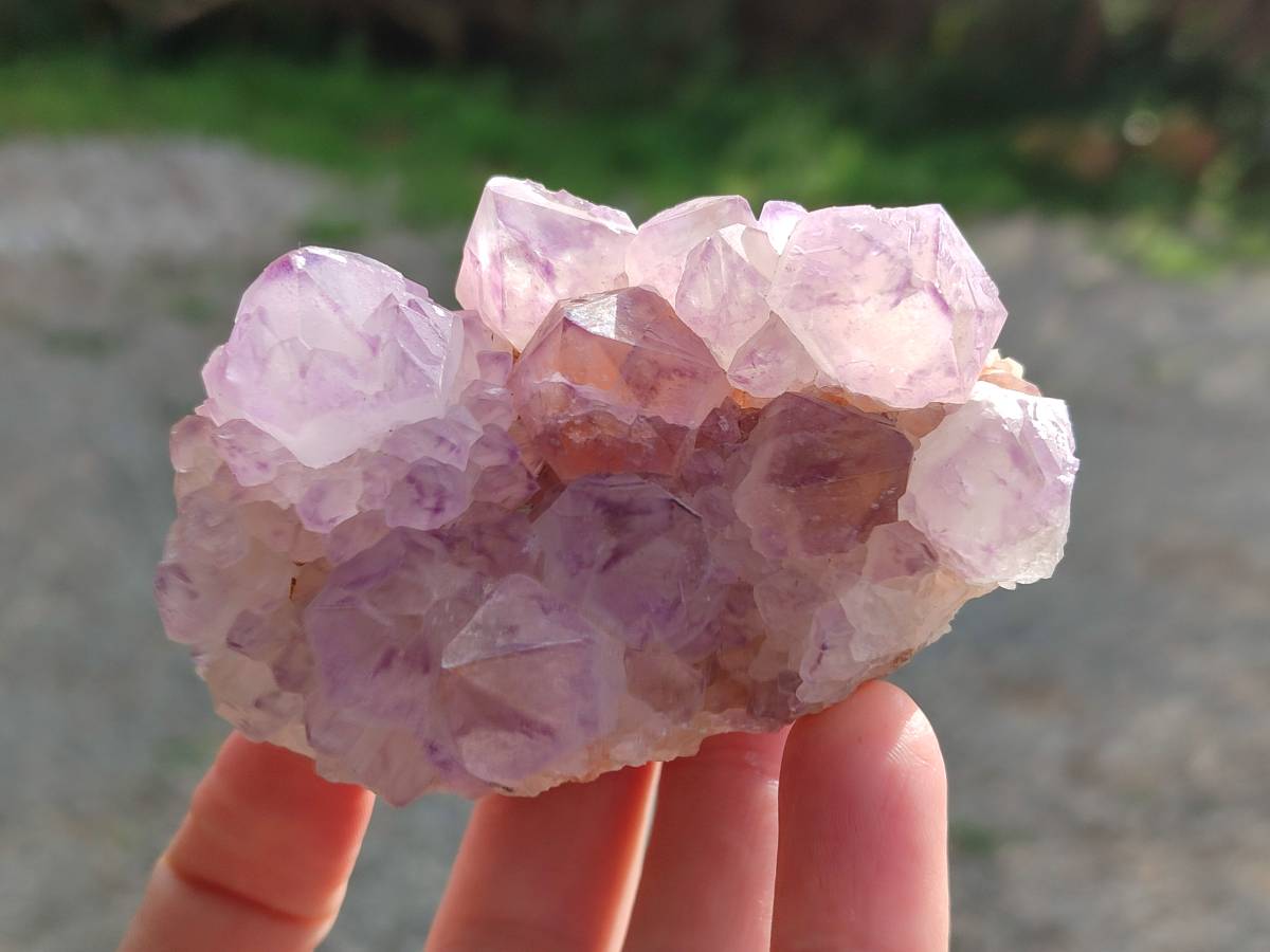 Natural Sunburst Amethyst Spirit Quartz Clusters x 6 From Boekenhouthoek, South Africa - Toprock Gemstones and Minerals 