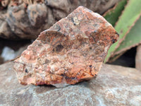 Natural Selected Brecciated Jasper Cobbed Pieces x 17 From South Africa - Toprock Gemstones and Minerals 