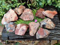 Natural Selected Brecciated Jasper Cobbed Pieces x 17 From South Africa - Toprock Gemstones and Minerals 