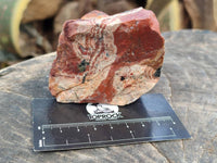 Natural Selected Brecciated Jasper Cobbed Pieces x 17 From South Africa - Toprock Gemstones and Minerals 