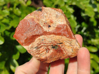Natural Selected Brecciated Jasper Cobbed Pieces x 17 From South Africa - Toprock Gemstones and Minerals 