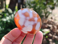 Polished Carnelian Agate Palm Stones x 12 From Madagascar - Toprock Gemstones and Minerals 