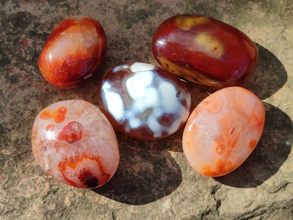 Polished Carnelian Agate Palm Stones x 12 From Madagascar - Toprock Gemstones and Minerals 