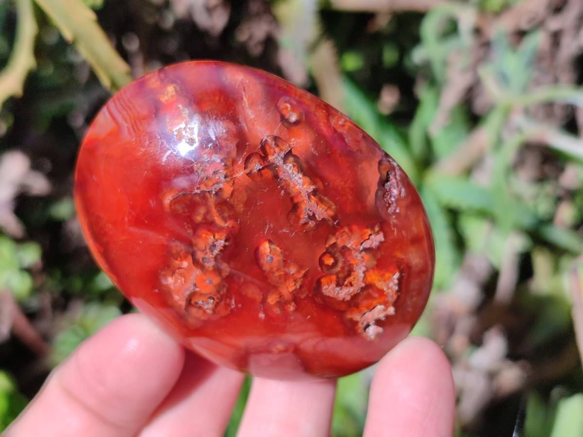 Polished Carnelian Agate Palm Stones x 12 From Madagascar - Toprock Gemstones and Minerals 