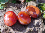 Polished Carnelian Agate Palm Stones x 12 From Madagascar - Toprock Gemstones and Minerals 
