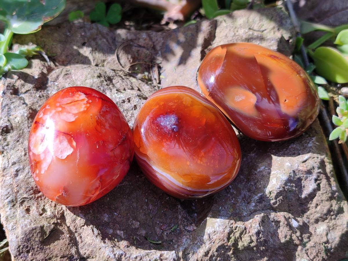 Polished Carnelian Agate Palm Stones x 12 From Madagascar - Toprock Gemstones and Minerals 