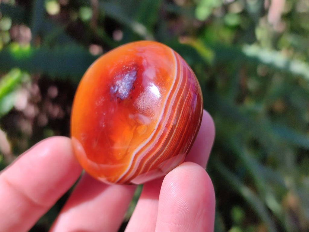 Polished Carnelian Agate Palm Stones x 12 From Madagascar - Toprock Gemstones and Minerals 